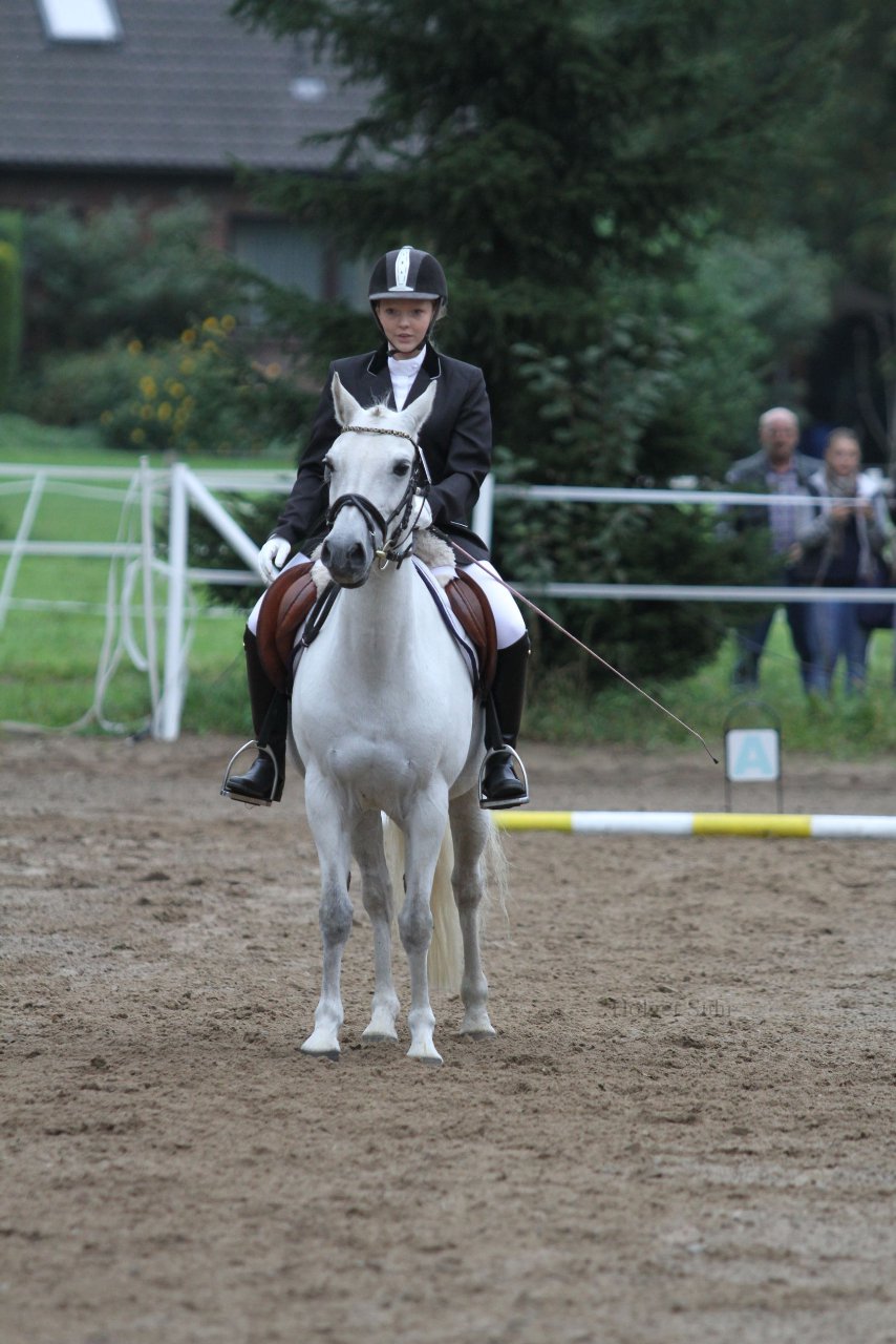 Bild 364 - WBO-Turnier am 18.9.11